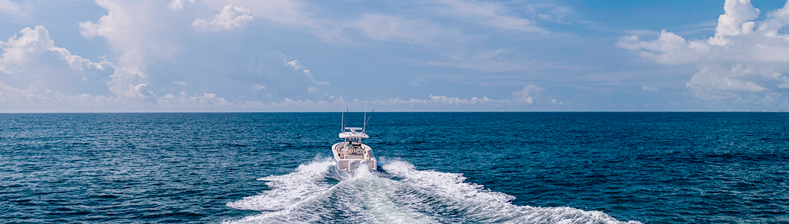 Pilotos Automáticos Garmin