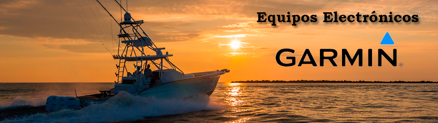Electronica Garmin